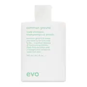 evo common ground scalp shampoo 300ml