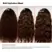 Olaplex Rich Hydration Mask