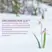 INNISFREE Jeju Orchid Eye Cream 30ml