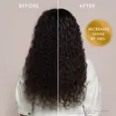 Moroccanoil Original Oil Treatment 50ml