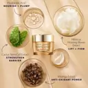 Estée Lauder Revitalizing Supreme+ Youth Power Créme 50ml