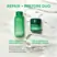 INNISFREE Green Tea Ceramide Cream