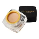 Napoleon Perdis The One Concealer