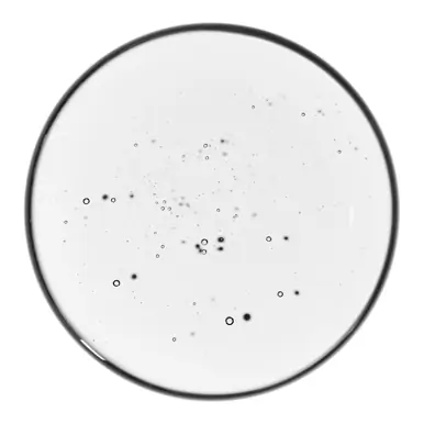 The Ordinary Volufiline 92% + Pal-Isoleucine 1% 