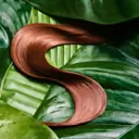 Coco & Eve Pro Bond Hair Mask