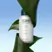Coco & Eve Pro Bond Shampoo