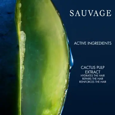DIOR Sauvage Shampoo 250ml