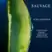 DIOR Sauvage Shampoo 250ml