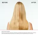 Olaplex N°.3PLUS Complete Repair Treatment 100ml