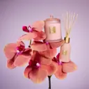 Glasshouse Fragrances 380g Candle - Radiance In Bloom
