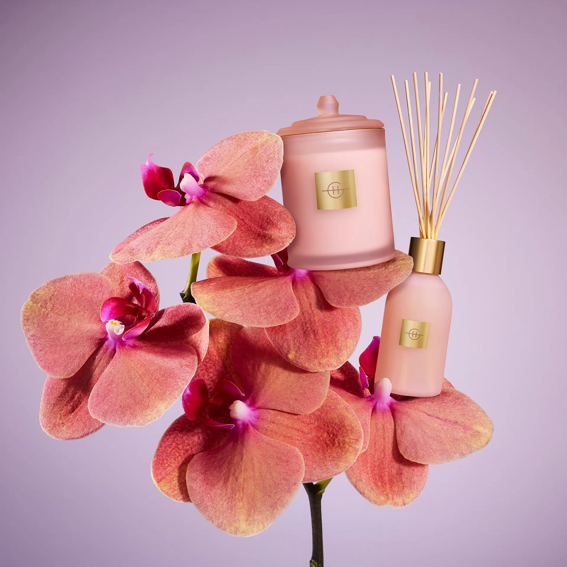 Glasshouse Fragrances 380g Candle - Radiance In Bloom