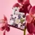 Glasshouse Fragrances Hair & Body Gift Set - Midnight In Milan 