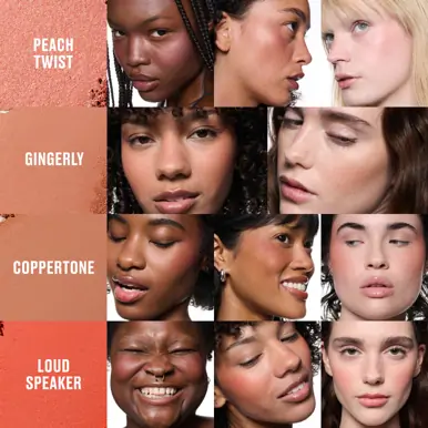 M.A.C Cosmetics Skinfinish Colourstruck Blush