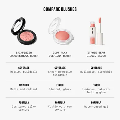 M.A.C Cosmetics Skinfinish Colourstruck Blush