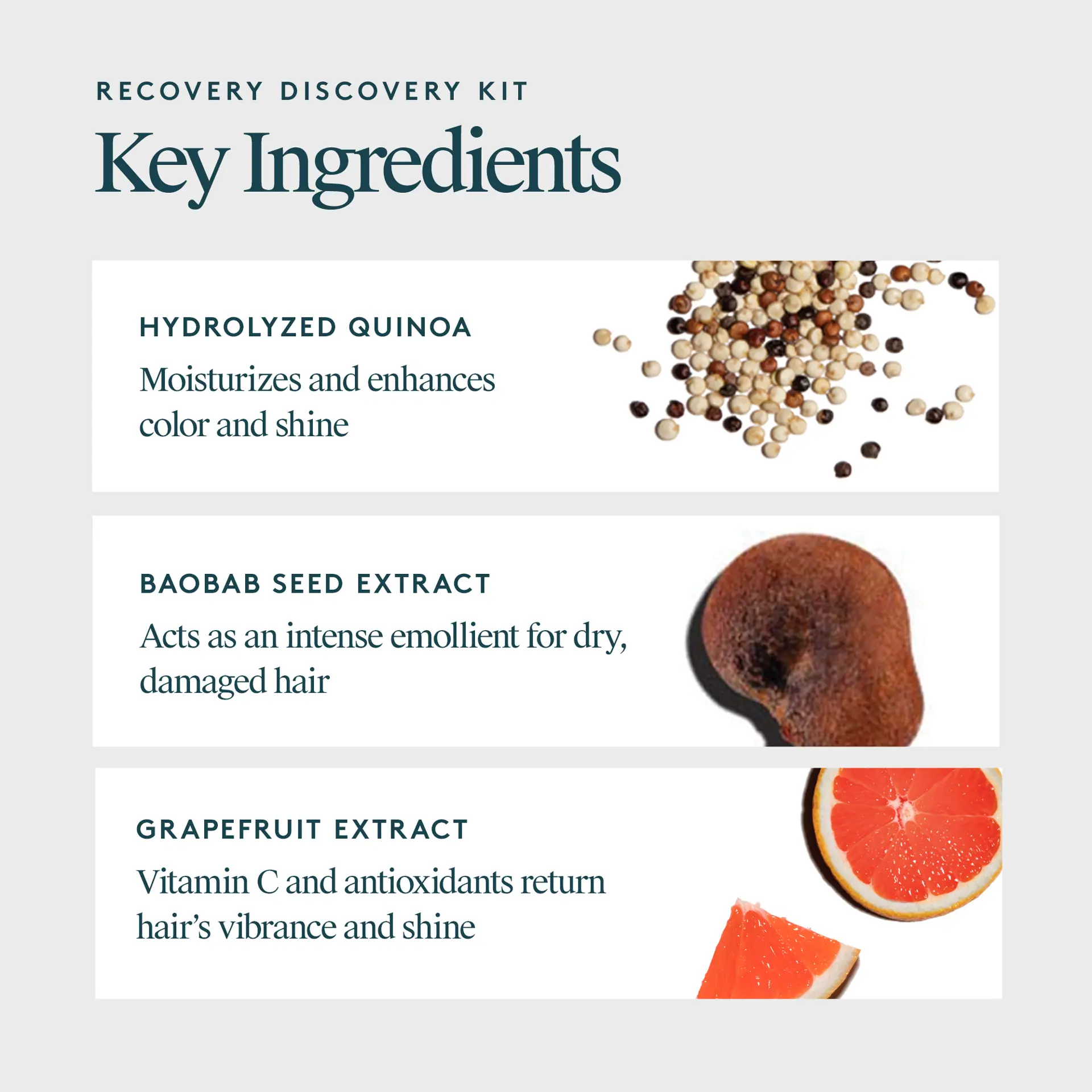 VIRTUE Recovery Discovery Kit