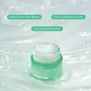 INNISFREE Green Tea Panthenol Gel Cream 50ml