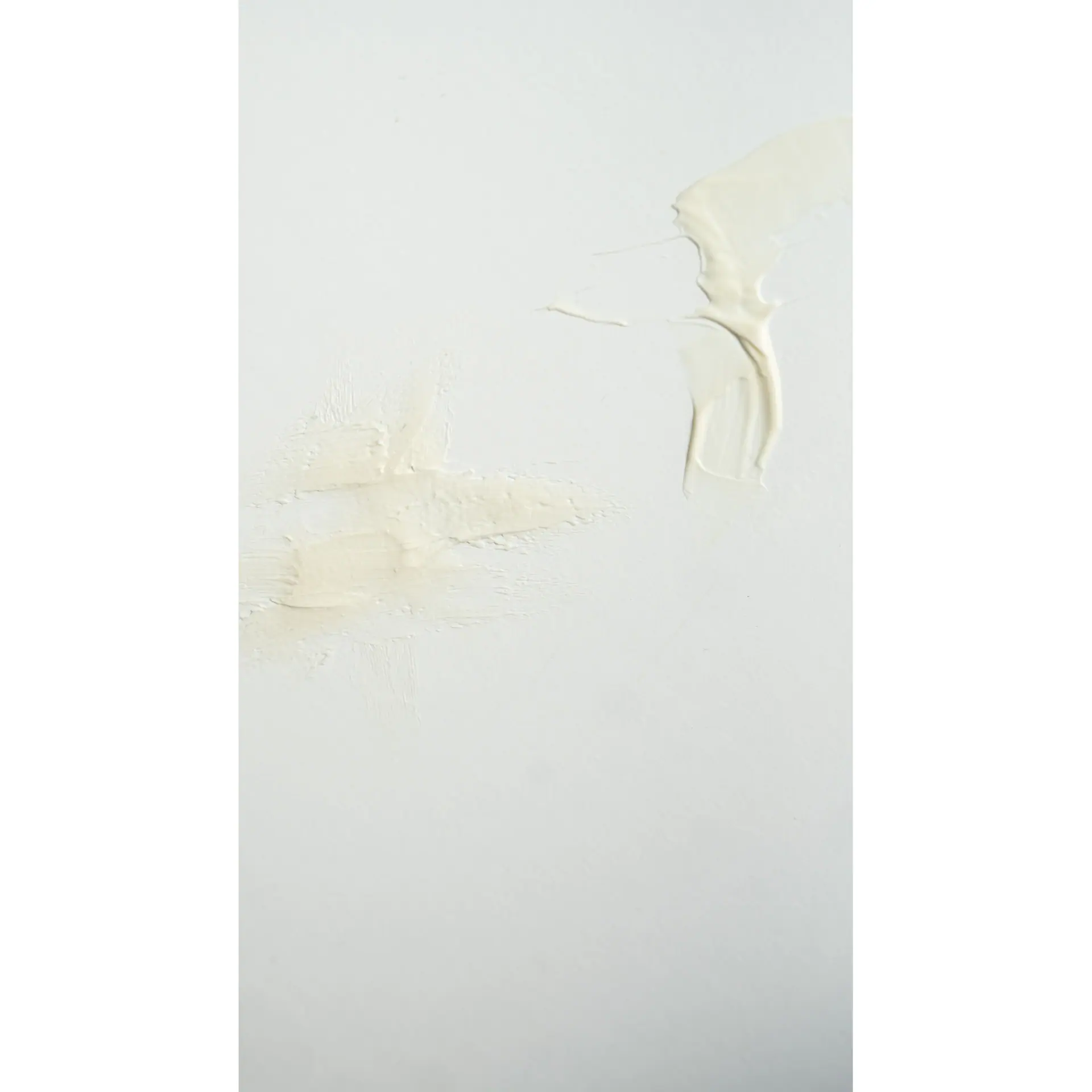 Weleda Skin Food Light 75ml