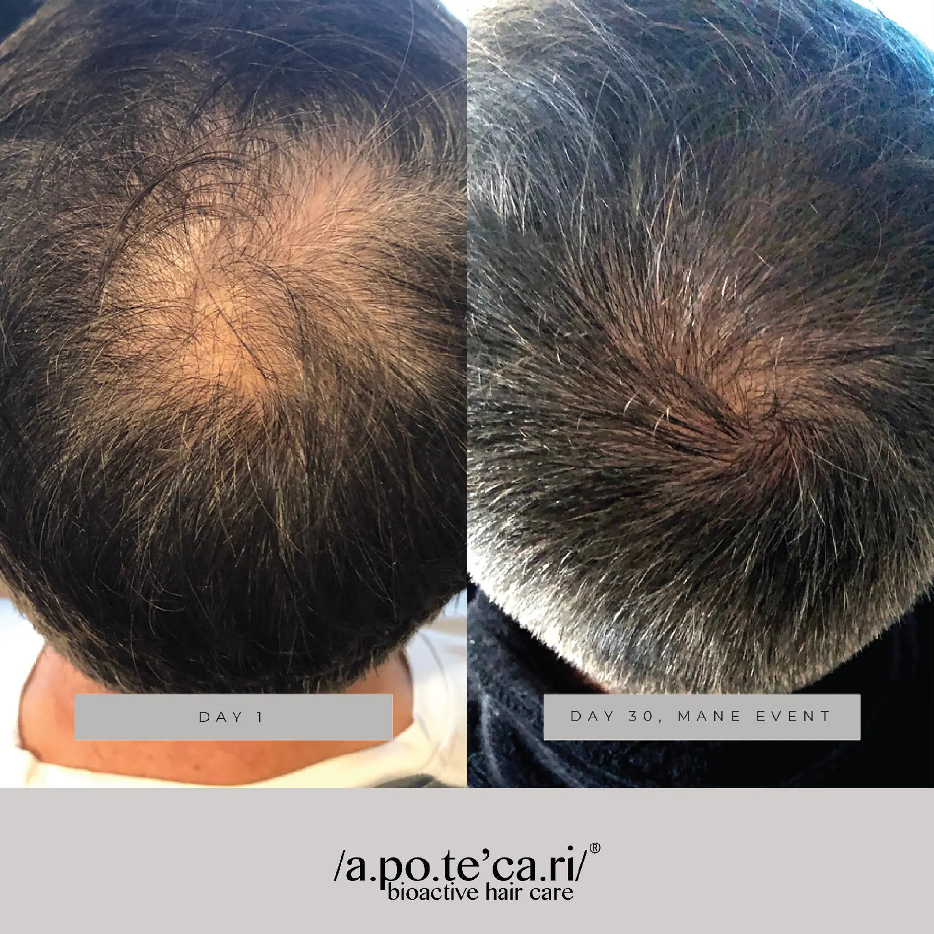 Apotecari Mane Event 60 Day Bottle