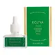 ECOYA Fresh Pine Plug-in Fragrance Flask 24ml