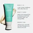 Virtue Recovery Shampoo and Conditioner Bundle