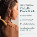 Virtue Recovery Trio bundle
